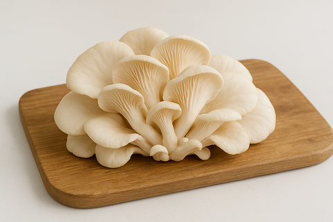 Oyster Mushroom